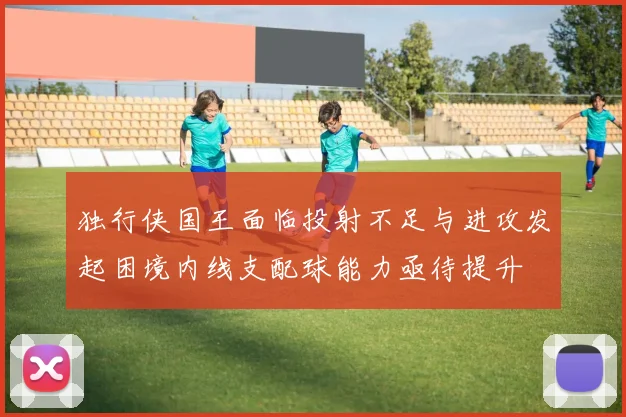 独行侠国王面临投射不足与进攻发起困境内线支配球能力亟待提升