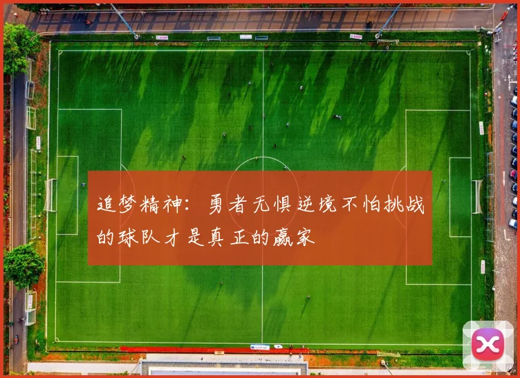 追梦精神：勇者无惧逆境不怕挑战的球队才是真正的赢家
