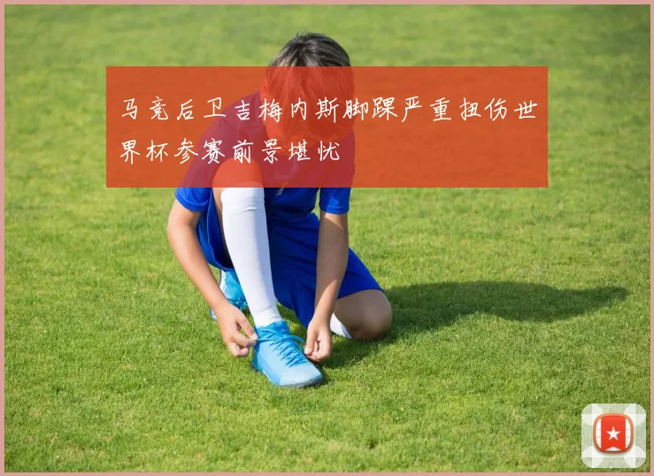 马竞后卫吉梅内斯脚踝严重扭伤世界杯参赛前景堪忧